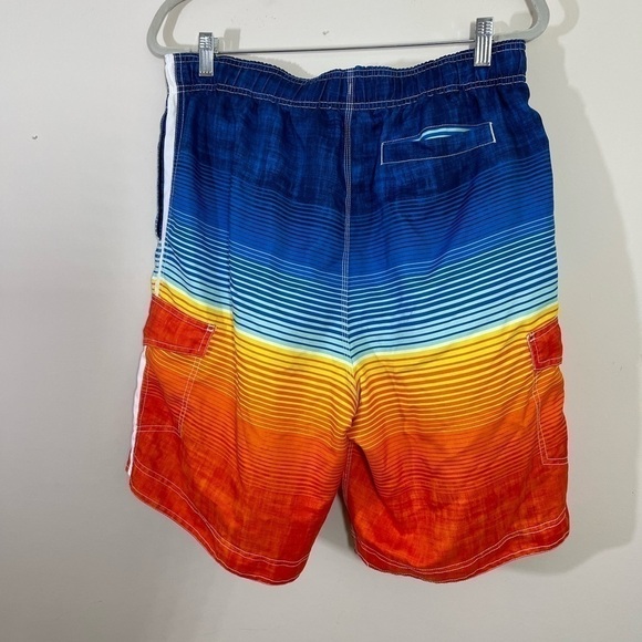 Wave Zone sz lg mens swimsuit  multicolored with the liner - Picture 7 of 11